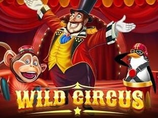Wild Circus game screenshot