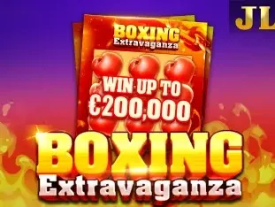 Boxing Extravaganza