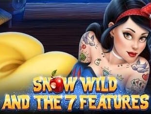 Snow Wild And The 7 Features game screenshot